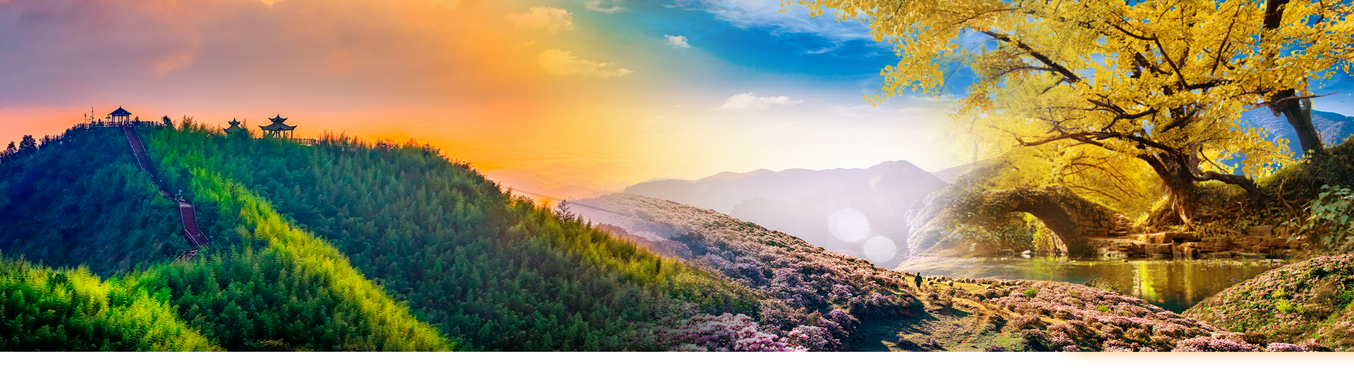 背景